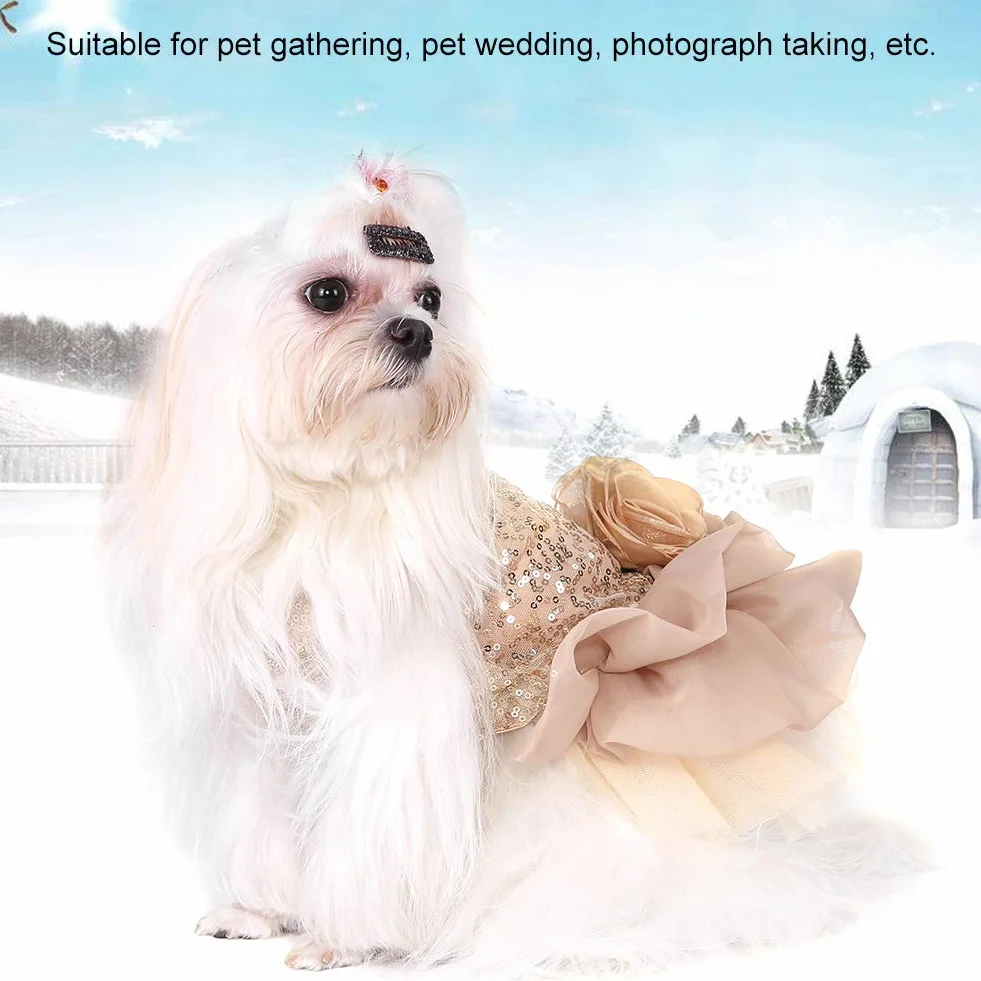 Robe de Mariée pour Chien Pailletée Dentelle Tutu Jupe Princesse Chiot pour Cérémonie Fête Photo Accessoire Animal Compagnie Mariage Petite Grande Taille