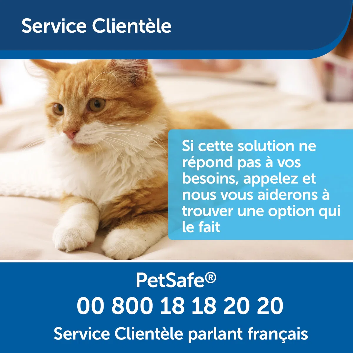 Petsafe Recharge gaz repulsif Chat et Chien