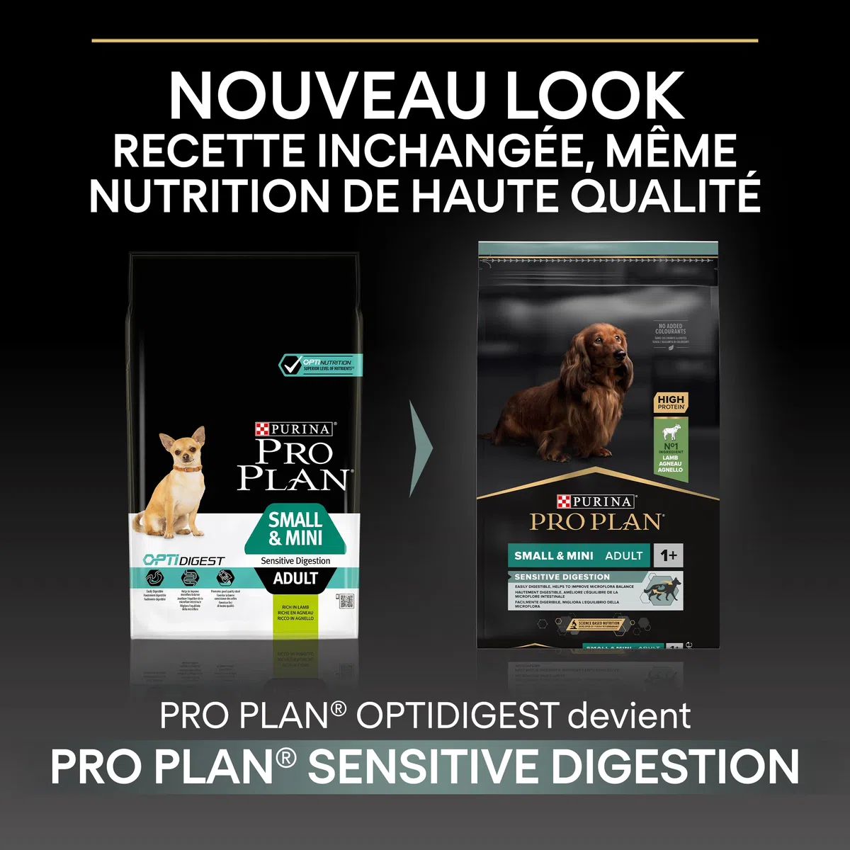 PURINA PRO PLAN | Sensitive Digestion | Croquettes complètes pour chiens adultes de petite taille | Favorise un système digestif sain | Riche en Agneau | Sac | 3 Kg