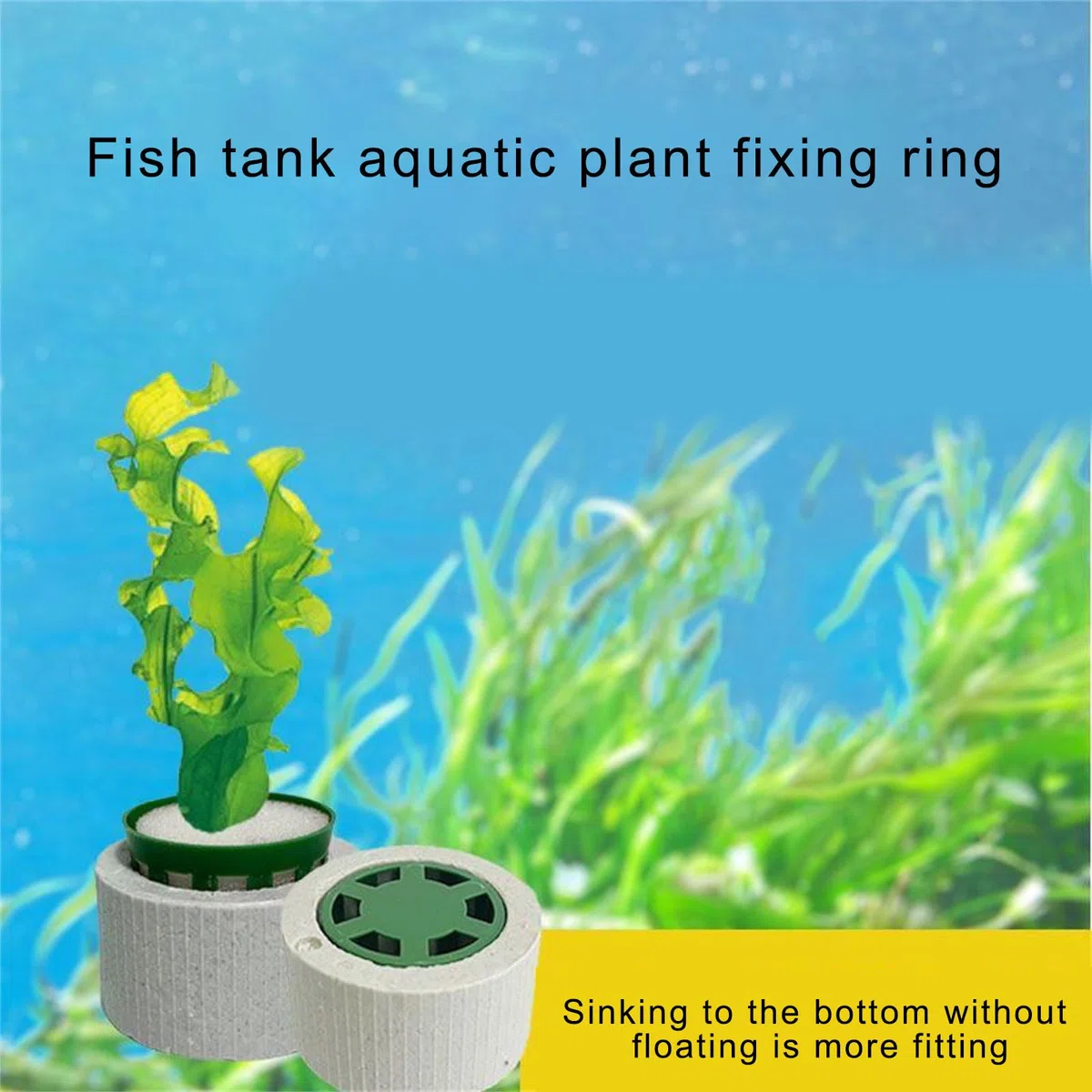 Lot de 30 poids d'ancrage en céramique pour plantes aquatiques avec panier éponge pour culture stable des plantes sous-marines