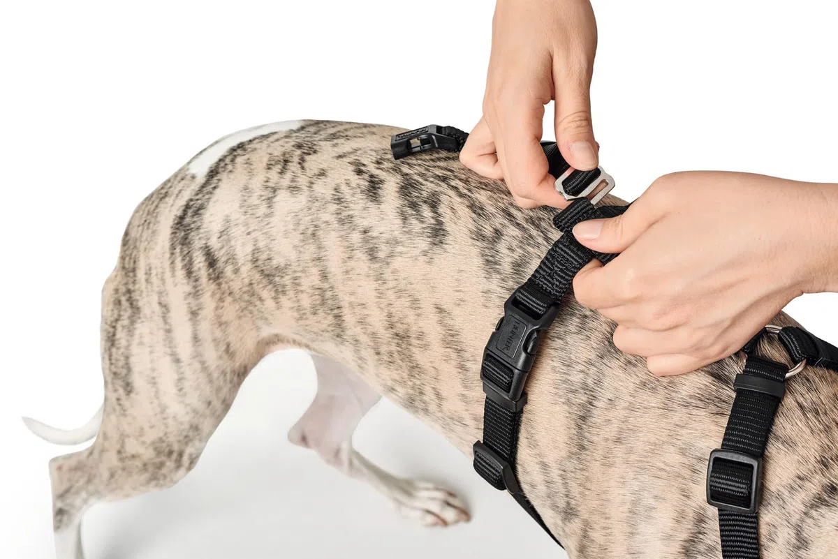 Hunter modèle Vario Rapid Harnais de sécurité Anti-Panique pour Chiens anxieux. en Nylon Souple et résistant aux déchirures