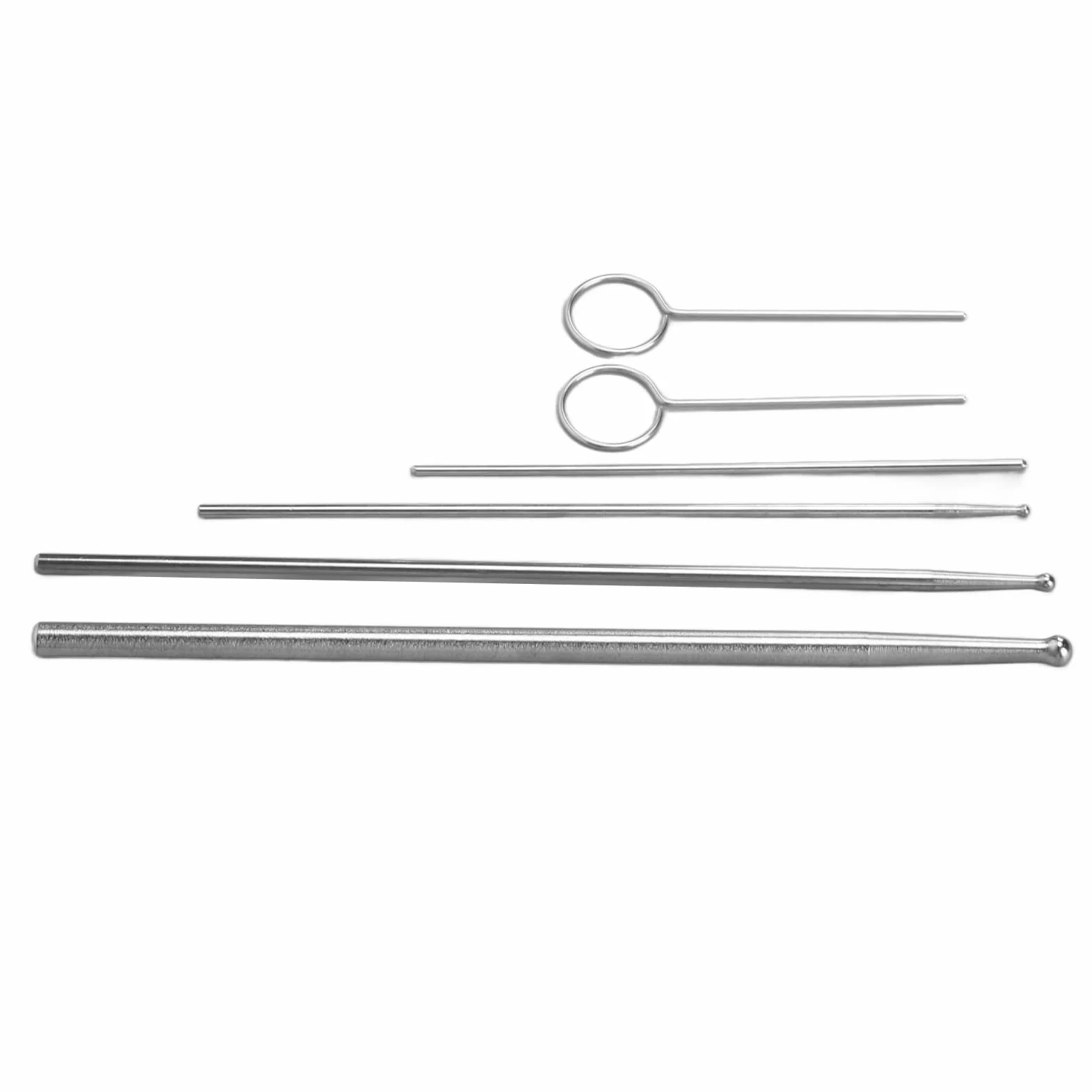 Sonde de Reptile à tête Ronde, kit de sonde de Serpent en Acier Inoxydable avec boîte de Rangement pour sonde de sexage de Serpent
