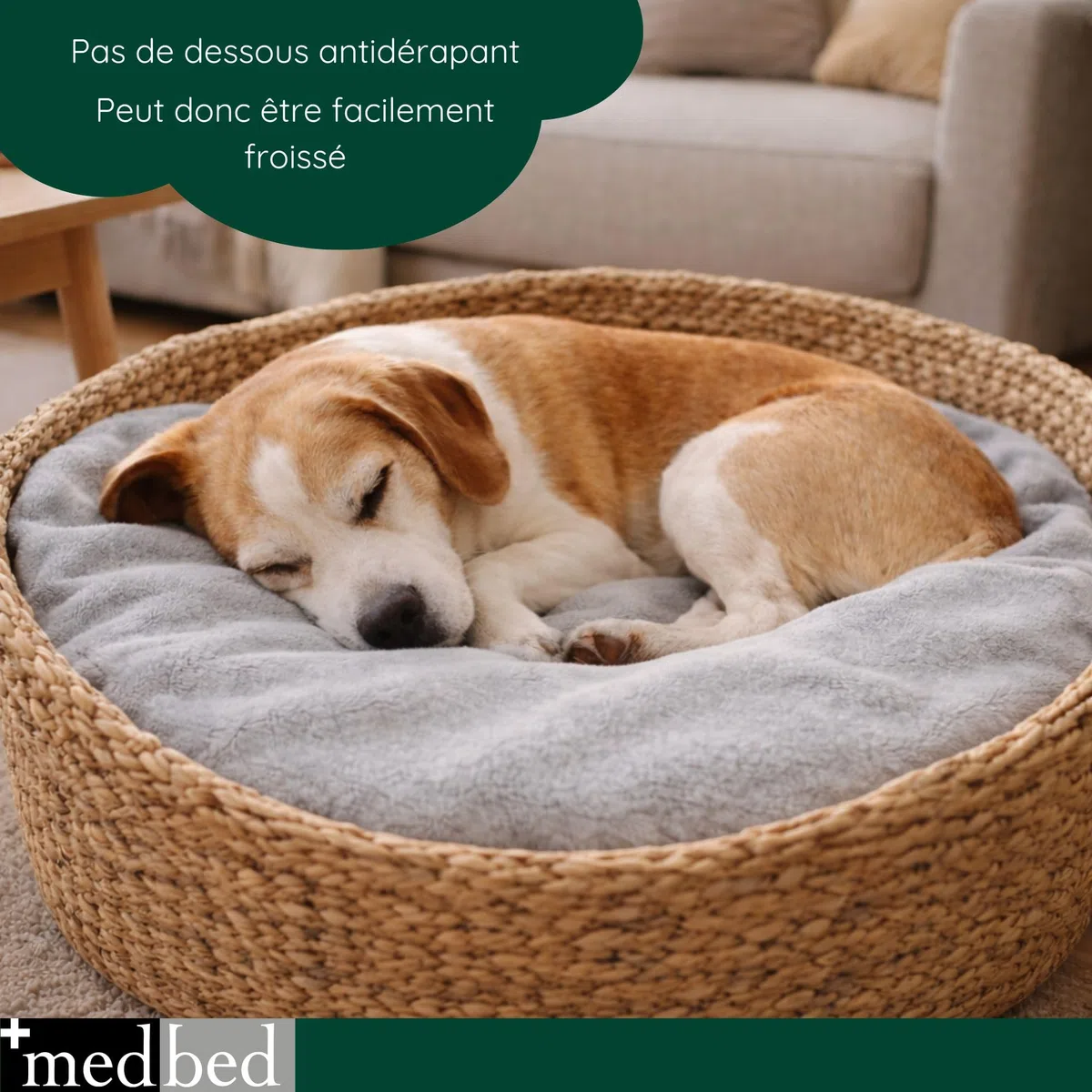 MedBed Couverture pour chien médicinale standard, d'origine, grise