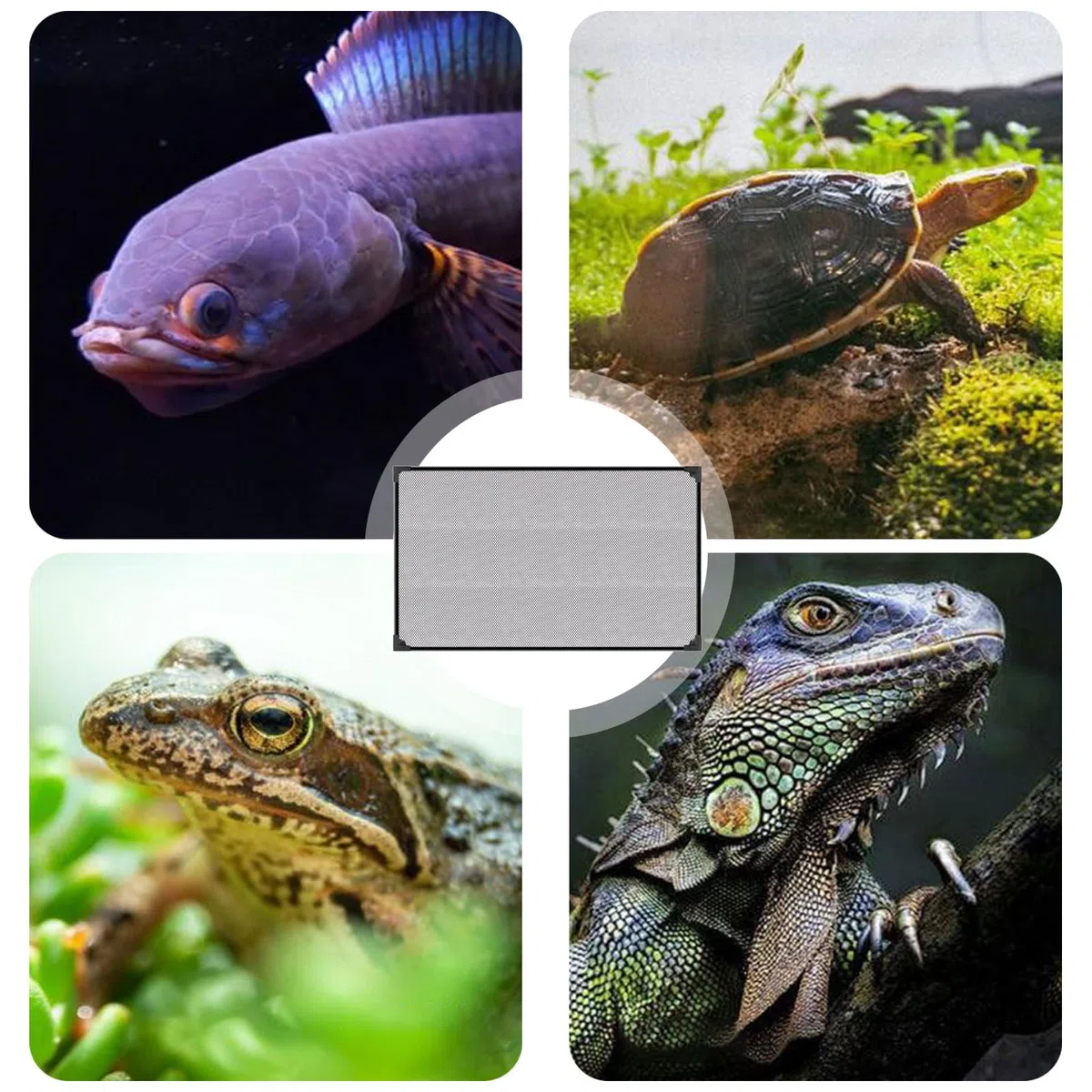 Couvercle D'aquarium, Filet Anti-Saut, Aquarium Couvercle D'écran, Fischtankdeckel, Facile À Installer Accessoires Aquarium Empêcher Poissons Reptiles (50 X 30 CM)