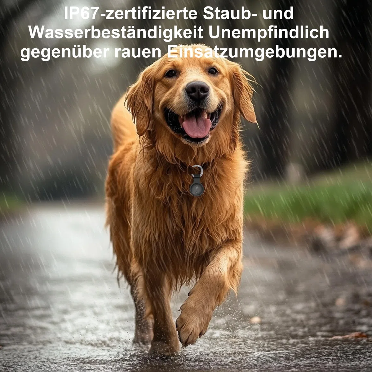 Collier GPS Chat,GPS Chien Compatible avec Les Systèmes iOS et Android Suivi Intelligent de La Localisation en Temps Réel Longue Autonomie Collier GPS pour Chien Traceur pour Animaux étanche-Noir Mat