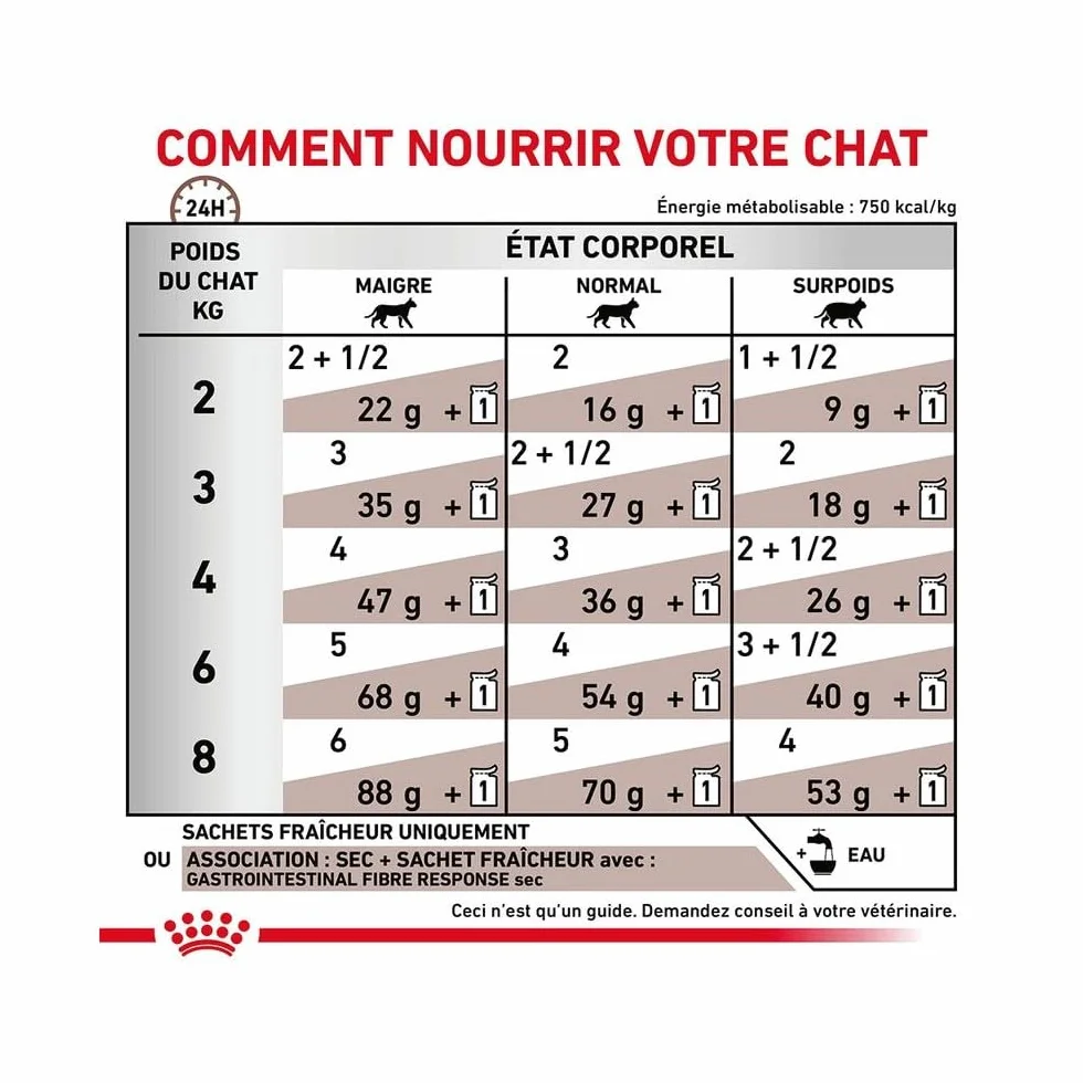 Royal Canin Gastro Intestinal Fibre Response | 12 x 85 g | Aliment Complet diététique pour Chats Adultes | Souffrant de Constipation Chronique ou de problèmes Gastro-intestinaux