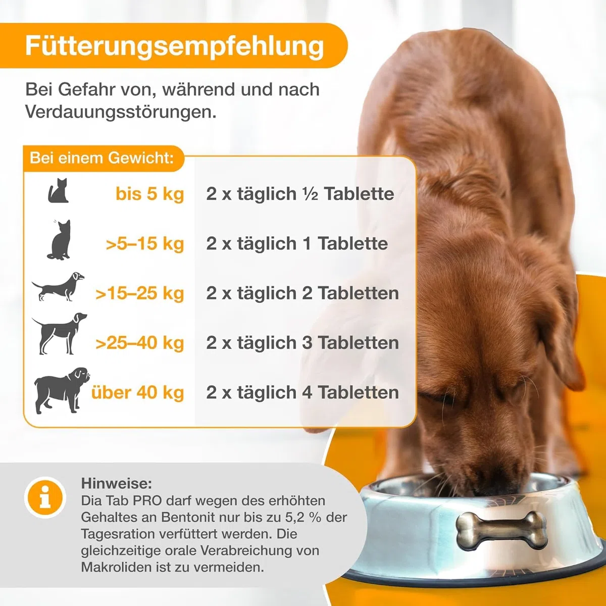 Alfavet Dia Tab Pro - boîte de 2 x 100 g - complément Alimentaire diététique pour Chiens et Chats - prébiotique probiotique - Environ 100 comprimés à mâcher
