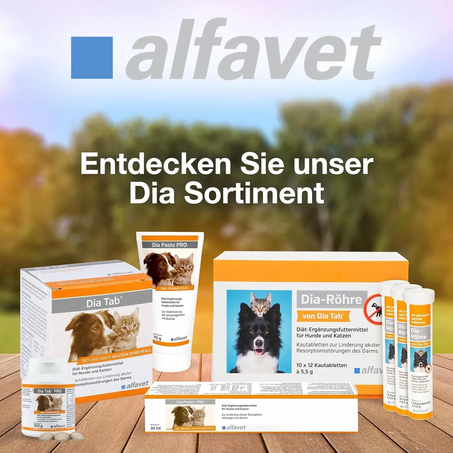 Alfavet Dia Tab Pro - boîte de 2 x 100 g - complément Alimentaire diététique pour Chiens et Chats - prébiotique probiotique - Environ 100 comprimés à mâcher