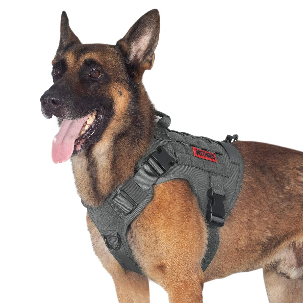 OneTigris Fire Watch Harnais Tactique de sécurité pour Chien - avec 1 poignée et 2 Anneaux en D - Nylon 1000D - Taille XL - Gris