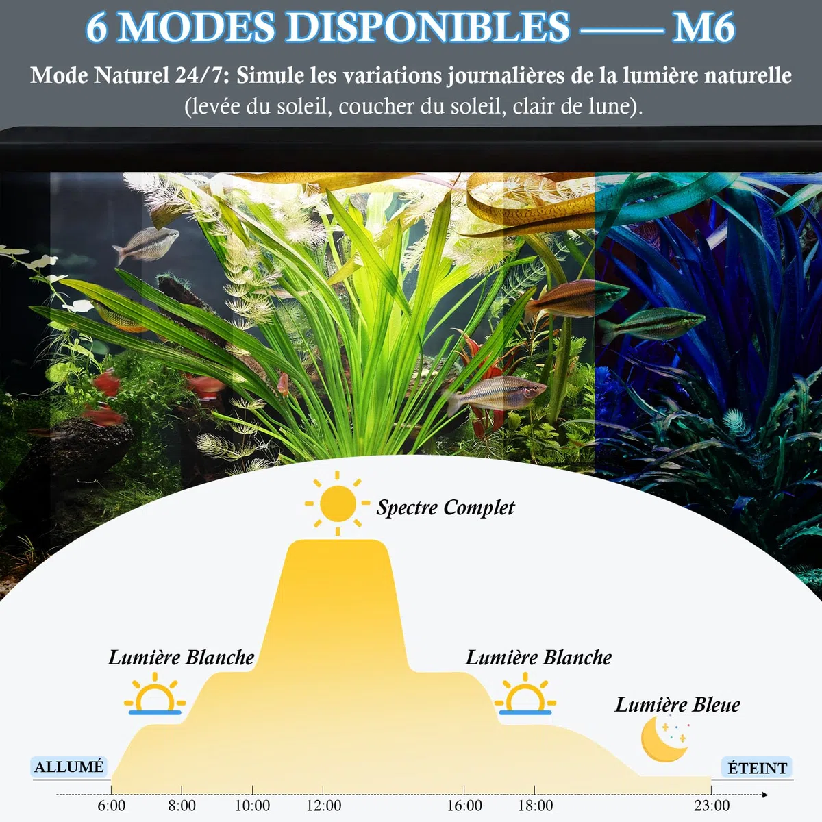 48cm Lampe pour Aquarium 24/7 avec LED RGBW à Spectre Complet, Rampe pour Aquarium Etanche IP68 avec Régulation de Luminosité, Minuterie et Ajustement de Couleur