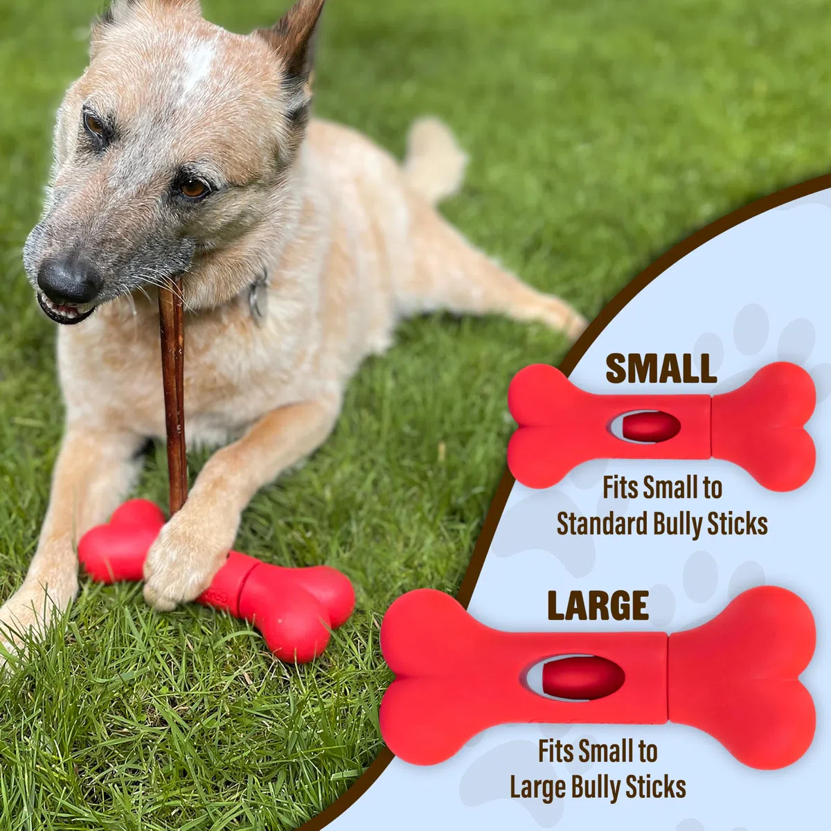 GoSports Chew Champ Support de bâton d'intimidation pour Chiens – Maintient solidement Les bâtons d'intimidation pour éviter l'étouffement – Petits Chiens de 4,5 à 13,6 kg