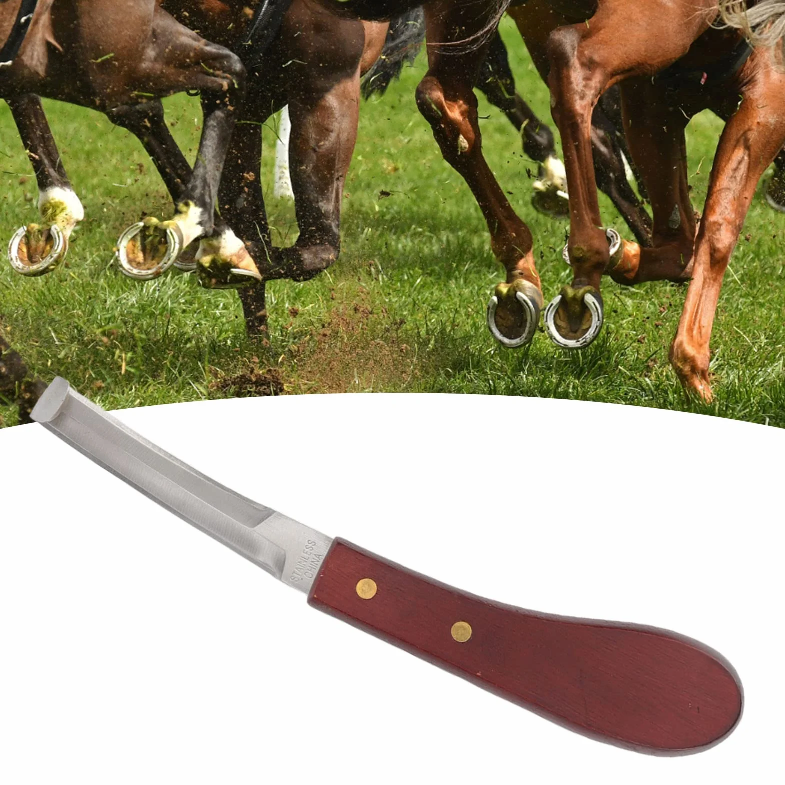 Outil de Coupe de Sabot pour Cheval, Couteau à Sabot en Acier Inoxydable Manche en Bois de Caoutchouc, Couteau à Sabot Double Tranchant Lame Double Face Main Droite
