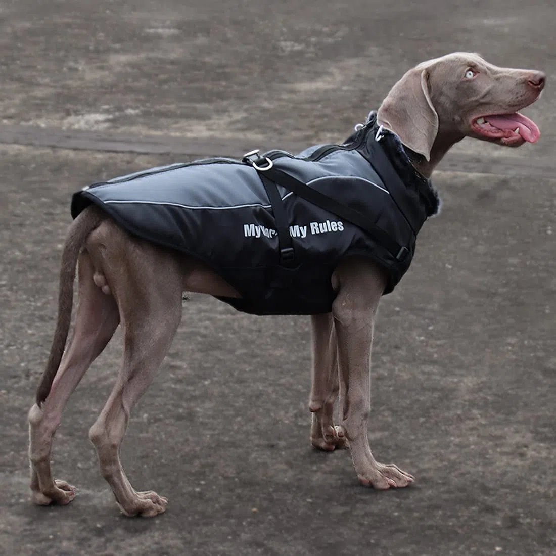 Veste d'hiver 2 en 1 pour chien avec harnais confortable, imperméable, coupe-vent, réversible, manteau d'hiver pour chien chaud pour temps froid, veste pour chiens de taille moyenne et grande