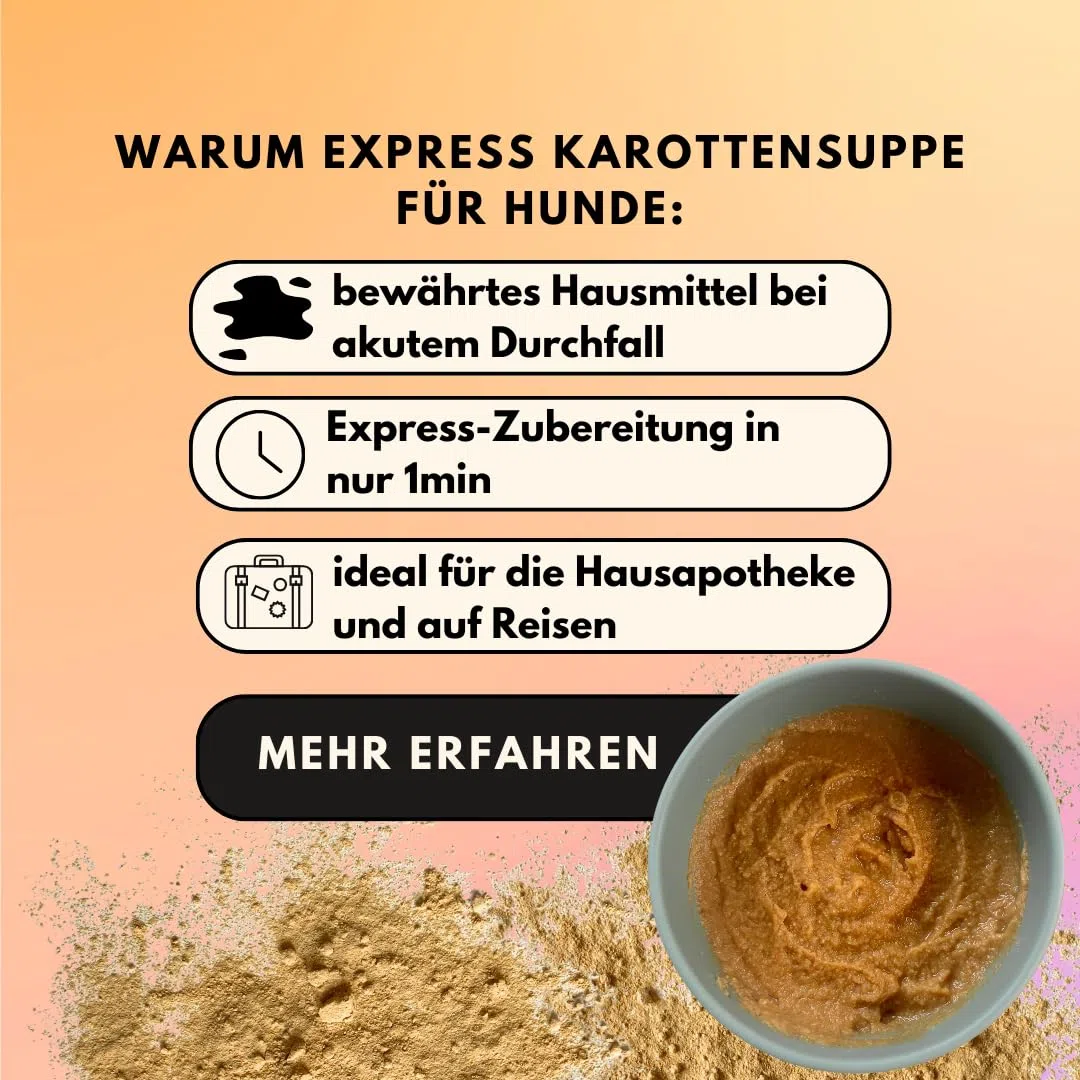 People who Kaer Moroche, Soupe aux carottes 200 g, haut rendement grâce à sa forme en poudre, prébiotiques pour aider en cas de diarrhée et de problèmes d'estomac, poudre de carotte avec grignon de