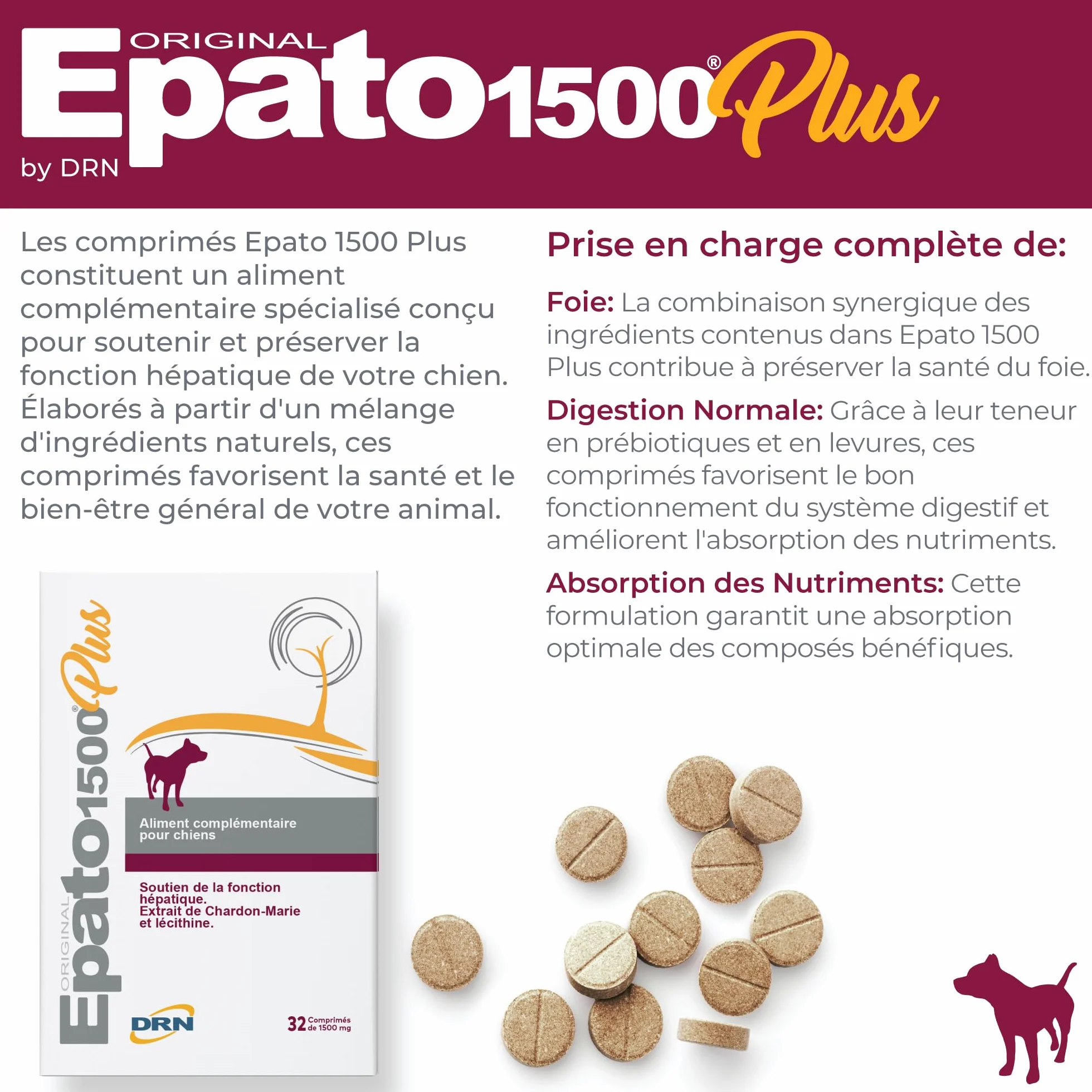 Complément hépatique pour Chien | Extrait de Chardon-Marie et Lécithine | Prébiotiques MOS et FOS | Soutien de la Fonction hépatique | 32 Comprimés de 1500 MG