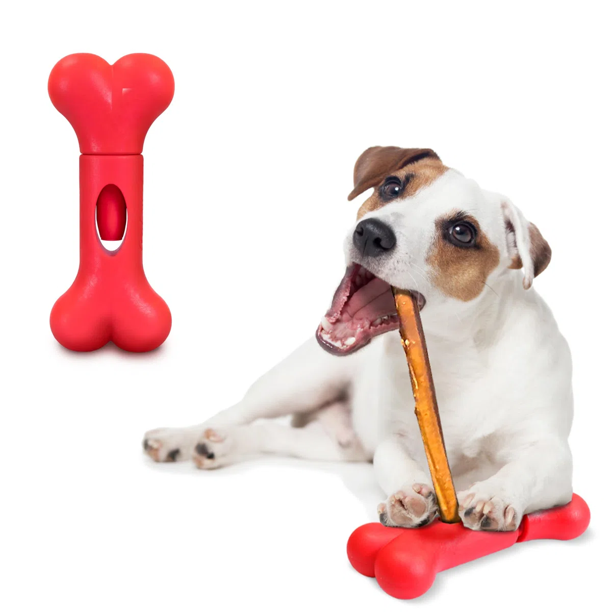 GoSports Chew Champ Support de bâton d'intimidation pour Chiens – Maintient solidement Les bâtons d'intimidation pour éviter l'étouffement – Petits Chiens de 4,5 à 13,6 kg