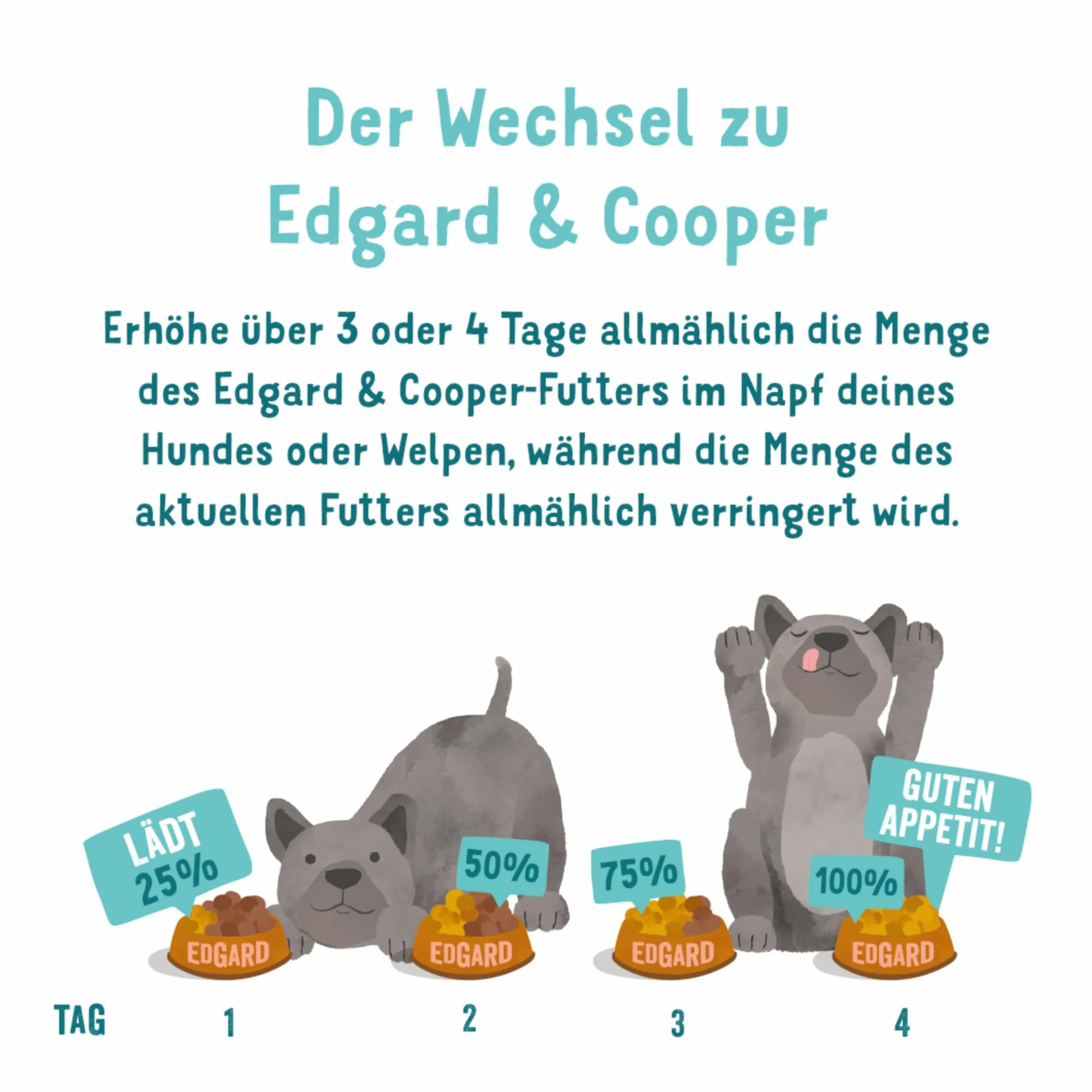 Edgard & Cooper Nourriture Humide pour Chien - Parrain - sans céréales Senior - Nourriture Humide - Poulet Naturel et Saumon - 400 g x 6 avec Beaucoup de Viande fraîche et d'intestins nutritifs