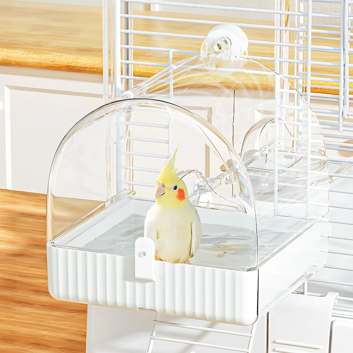 BUCATSTATE Bird Bathroom Transparent