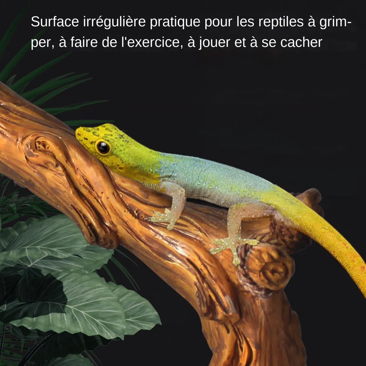 Branches Grimpantes Pour Reptiles | Branches De Bois Pour Reptiles | Habitat D'escalade Pour Animaux De Compagnie | Décoration D'habitat Pour Reptiles | Branche D'arbre Grimpante Pour Caméléons, Lézar