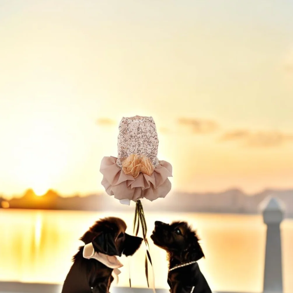Robe de Mariée pour Chien Pailletée Dentelle Tutu Jupe Princesse Chiot pour Cérémonie Fête Photo Accessoire Animal Compagnie Mariage Petite Grande Taille