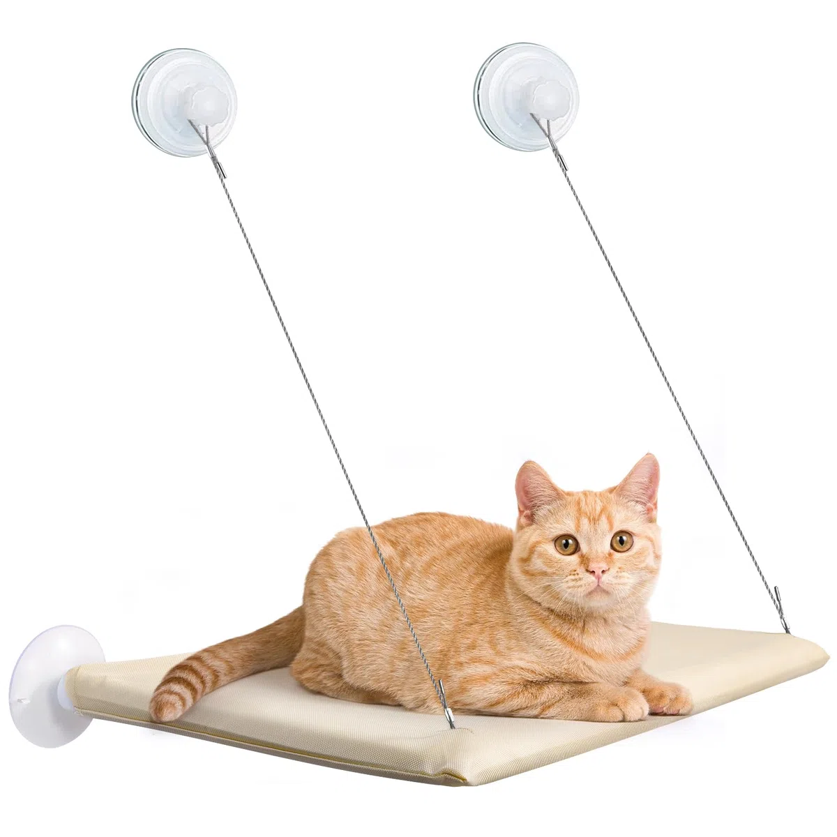 Cirulli Hamac Chat pour Fenêtre - Grande Étagère Murale, Fauteuil Inclinable Jusqu'à 25 kg, Lit Super Stable pour Bronzer, 54x30CM