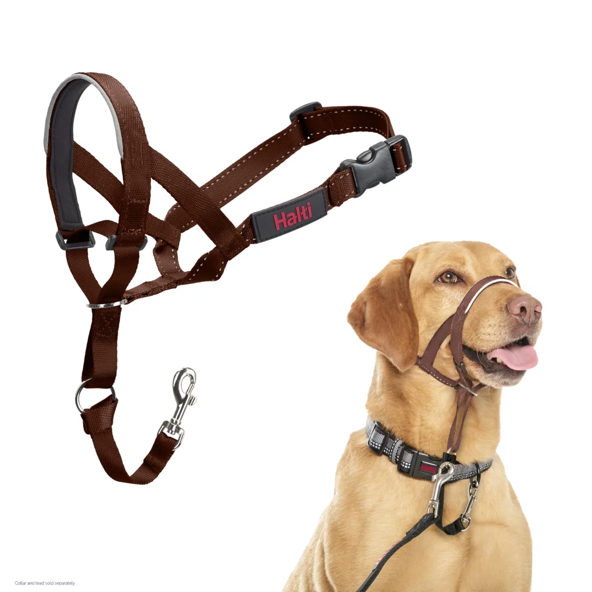 Licol HALTI - pour Que Votre Chien arrête de Tirer sur sa Laisse, Partie entièrement matelassée sur Le museau, Colliers Anti-Traction pour Chiens de Taille Moyenne (Taille 3, Brun Noisette)