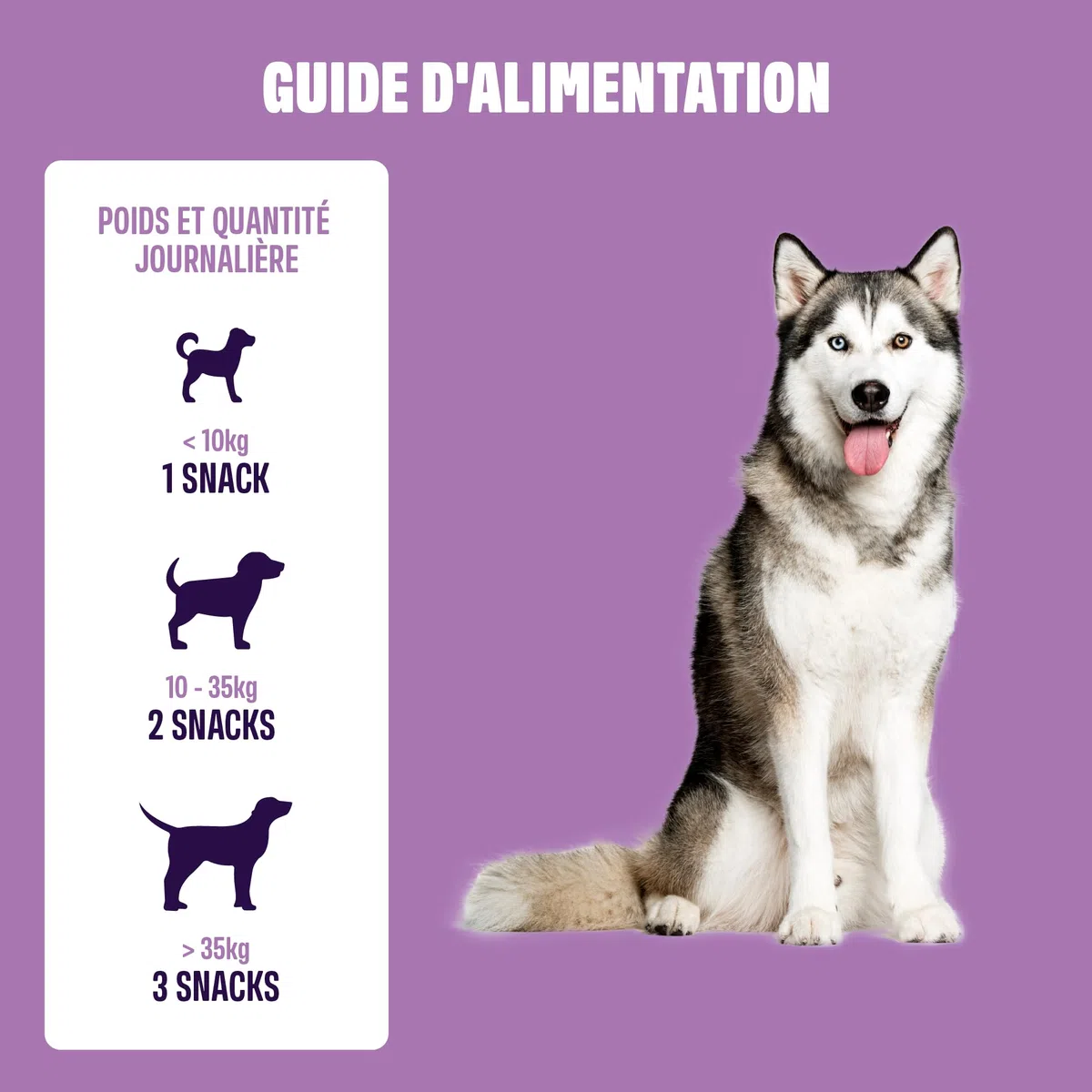 ivvi Relax Calmant pour Chiens - Formule avec L-Tryptophane en Cas d'Anxiété, de Stress et pour se Calmer - 60 Délicieuses Friandises au Poulet