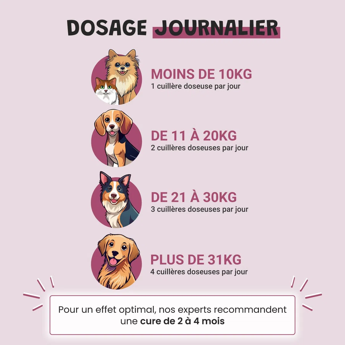 Articulations Chien Chat - Complément Alimentaire Anti-Arthrose - Harpagophytum Glucosamine Chondroïtine MSM Krill - Mobilité & Souplesse - Formulé par des Vétérinaires - Fabriqué en France