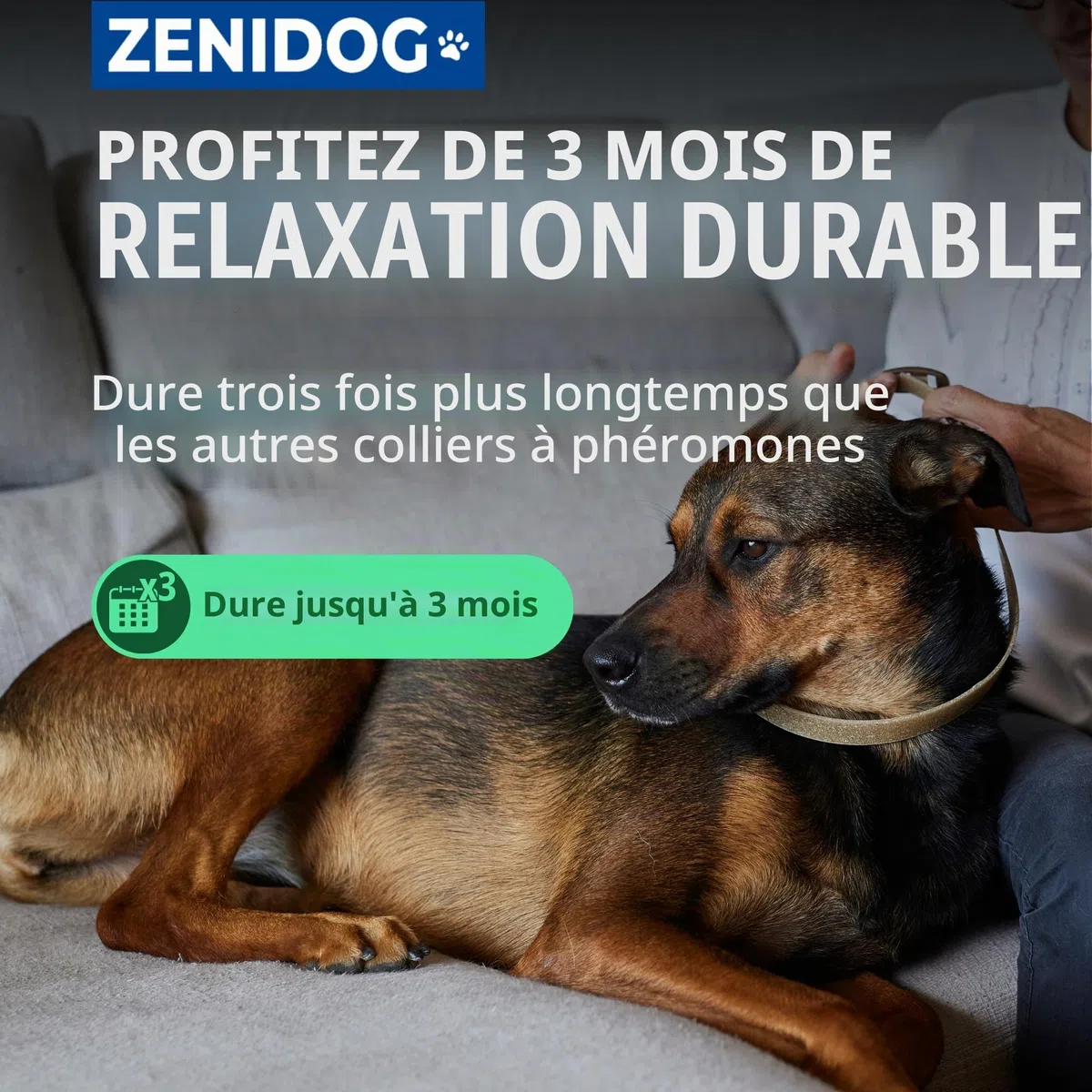 Virbac Zenidog Collier Apaisant pour Moyen et Grand Chien - Collier Chien apaisant Phéromones - Bien-être