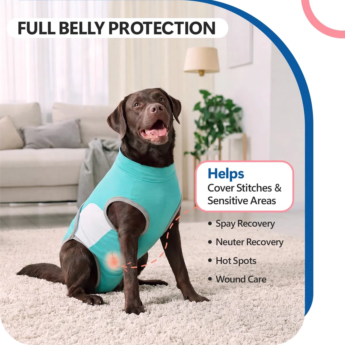 Body Chien Après Opération, Body Post-Opératoire en Coton Doux avec Fermeture Éclair, Combinaison Médical Anti-Léchage, Alternative à la Collerette pour Chien Mâle et Femelle, Bleu Aqua L