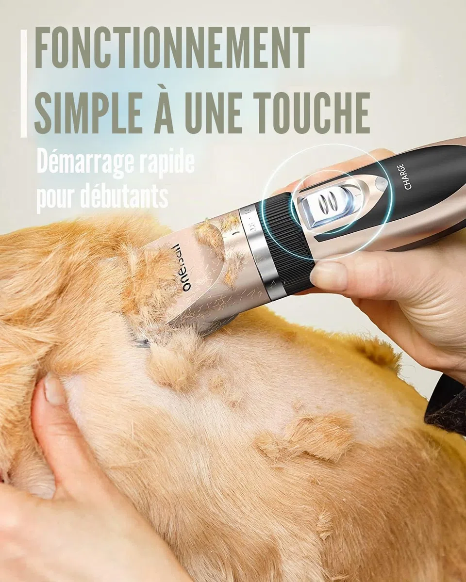 oneisall Tondeuse Chien Professionnelle Poil Long Epais Tondeuse pour Chats et Animaux Silencieux pour petits grands chiens chats animaux de compagnie (L'or)