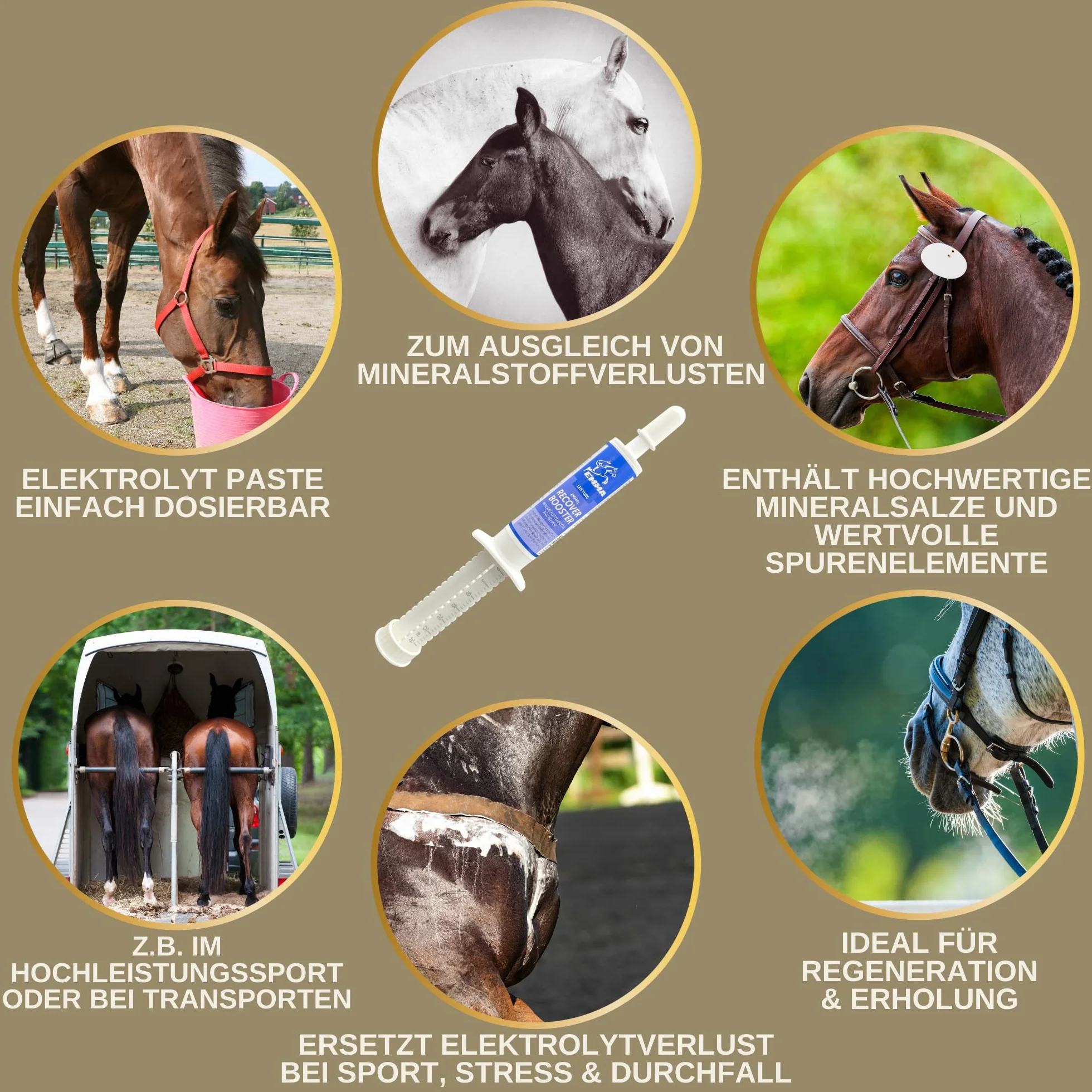 Electrolytes Cheval Pâte vitaminée pour Chevaux I Vitamine b Complexe Cheval I Electrolytes pour Chevaux Sodium Potassium Magnésium Cheval Nourriture minérale Chevaux après diarrhée Sels minéraux 3pc