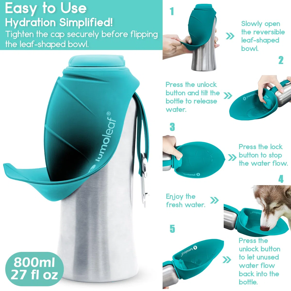LumoLeaf Bouteilles d'eau Portables pour Chien de 800 ML, Distributeur d'eau de Voyage en Acier Inoxydable pour la Marche, la randonnée et l'extérieur, Bol d'eau Portable pour Grands (Blau/800ml)