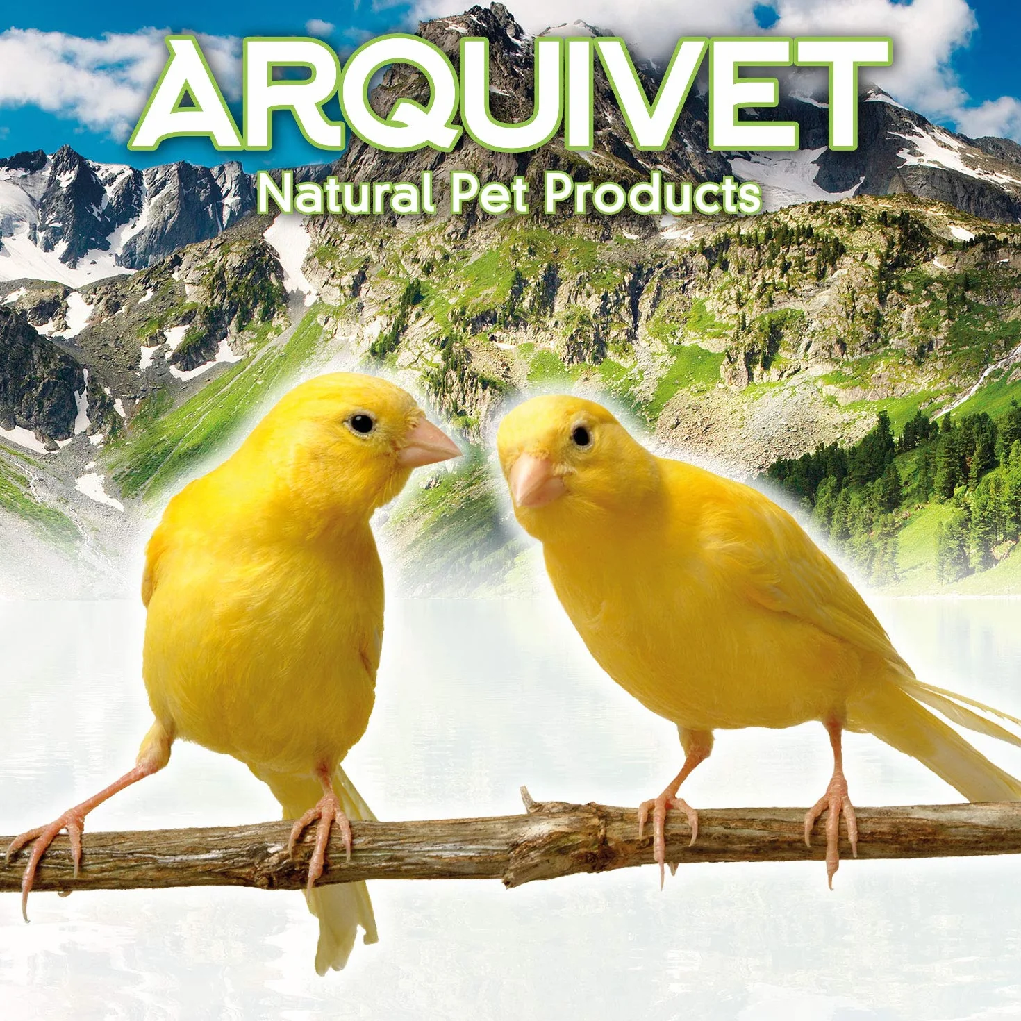Arquivet Balançoire en métal et Bois pour Oiseaux 12 cm - Jouets Oiseaux - Accessoires de Cage pour Oiseaux - Balançoire pour perroquets, perruches, inséparables - Accessoires Cage Oiseaux