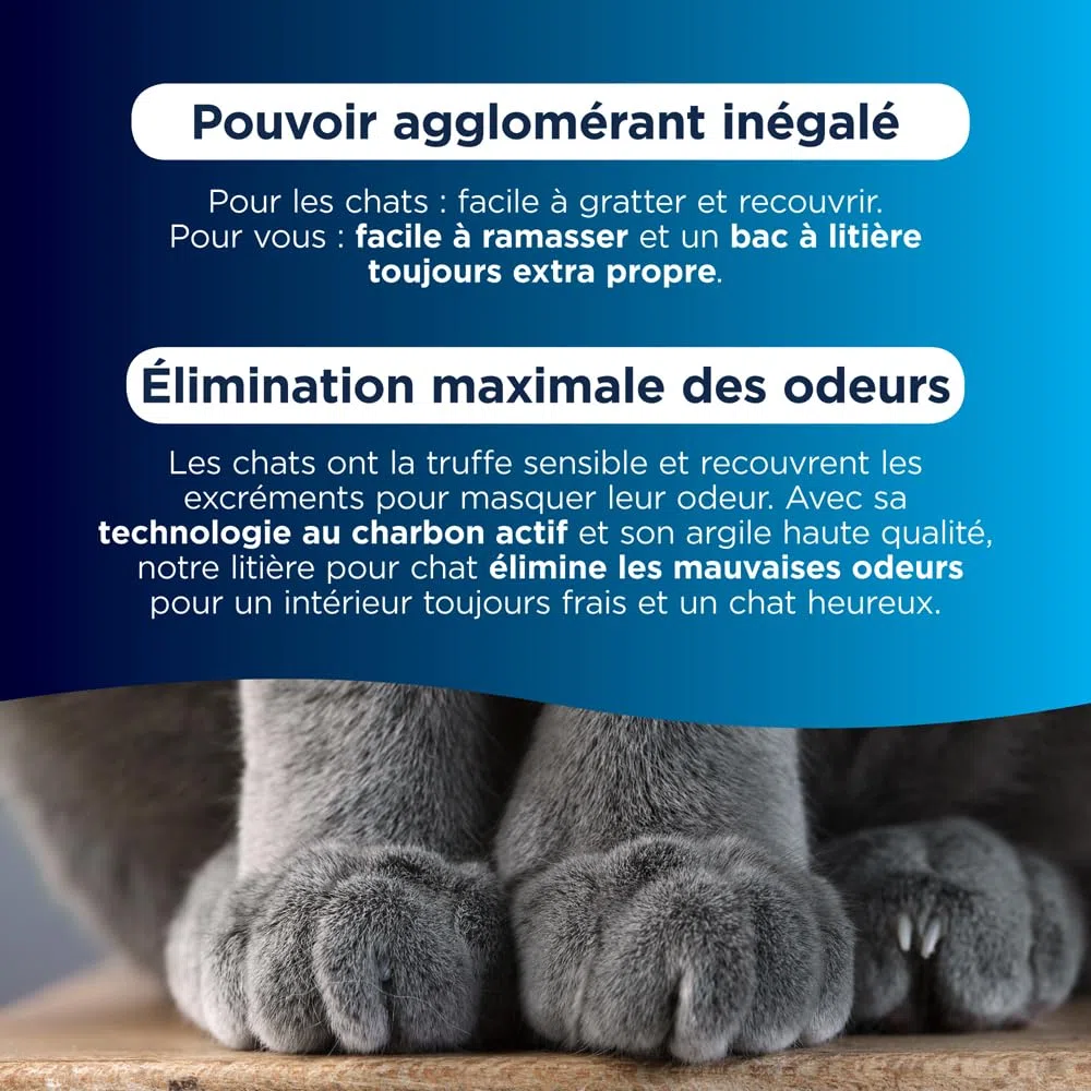 Ever Clean Litière agglutinante pour chats, pour plusieurs chats, parfumée pour une fraîcheur durable, 10 L