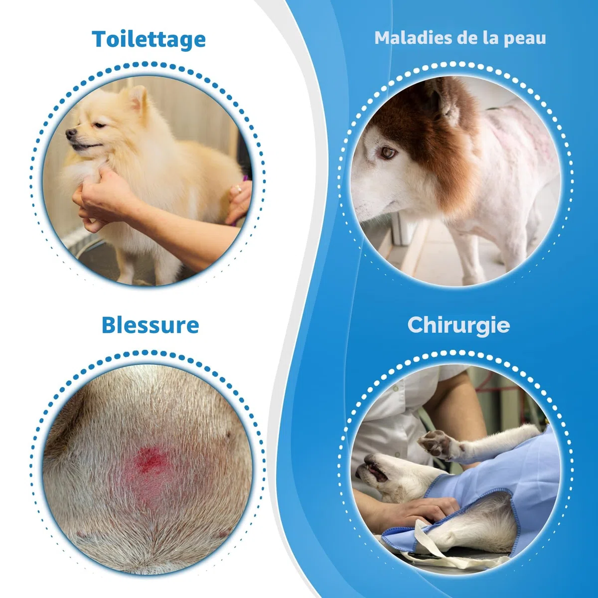 Collerette Chien, Collerette Souple et Légère pour Chien, Collerettes pour Chiens Anti Lechage et Grattage, Ajustable Collier de Récupération Chiens, Cône de Cicatrisation Respirant (Bleu Size 8)