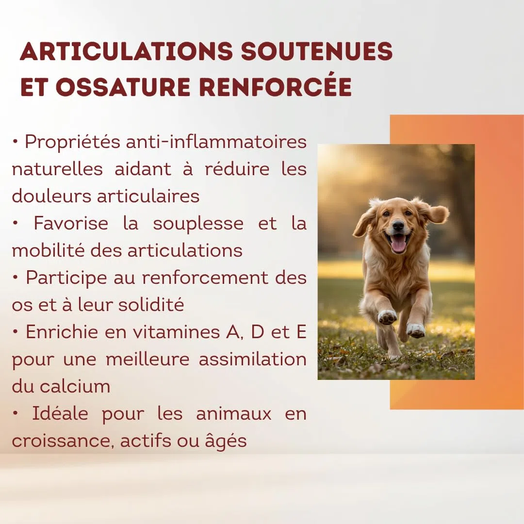 1L Huile de Sardine 100% Naturelle pour Chiens, Chats et Chevaux, Très Riche en Oméga 3-6-9 et Vitamines E | Fabriqué en UE