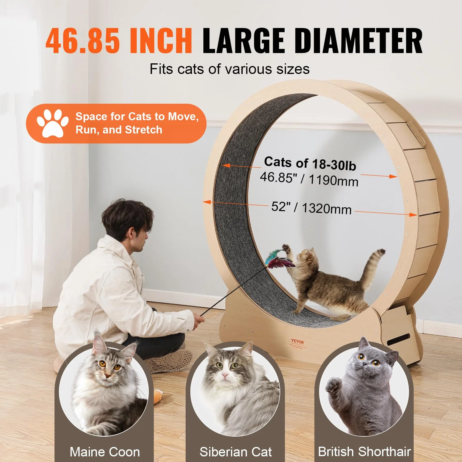 VEVOR Roue d'exercice pour Chat 1320 mm Grande Roue de Course pour Chat d'Intérieur, avec Tapis Roulant Amovible, Teaser pour Chat pour Courir, Marcher, Entraînement, Convient à la Plupart des Chats