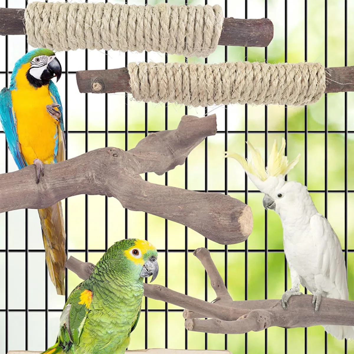 Lot de 6 perchoirs à oiseaux en bois naturel debout et suspendu, corde inclus, accessoires de cage pour petites perruches, calopsittes, conures