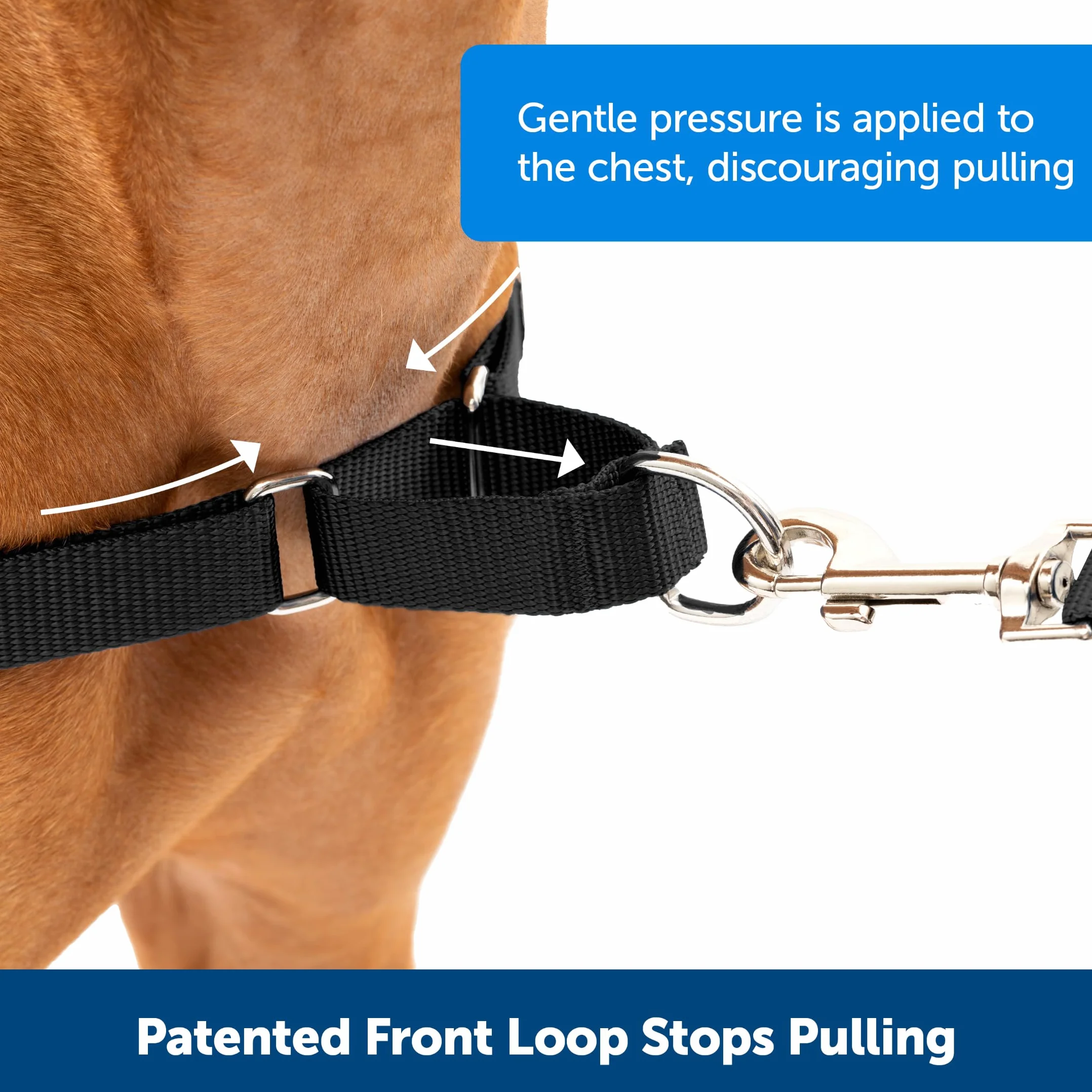 PetSafe - Harnais pour Très Grand Chien Easy Walk (XL) - Noir
