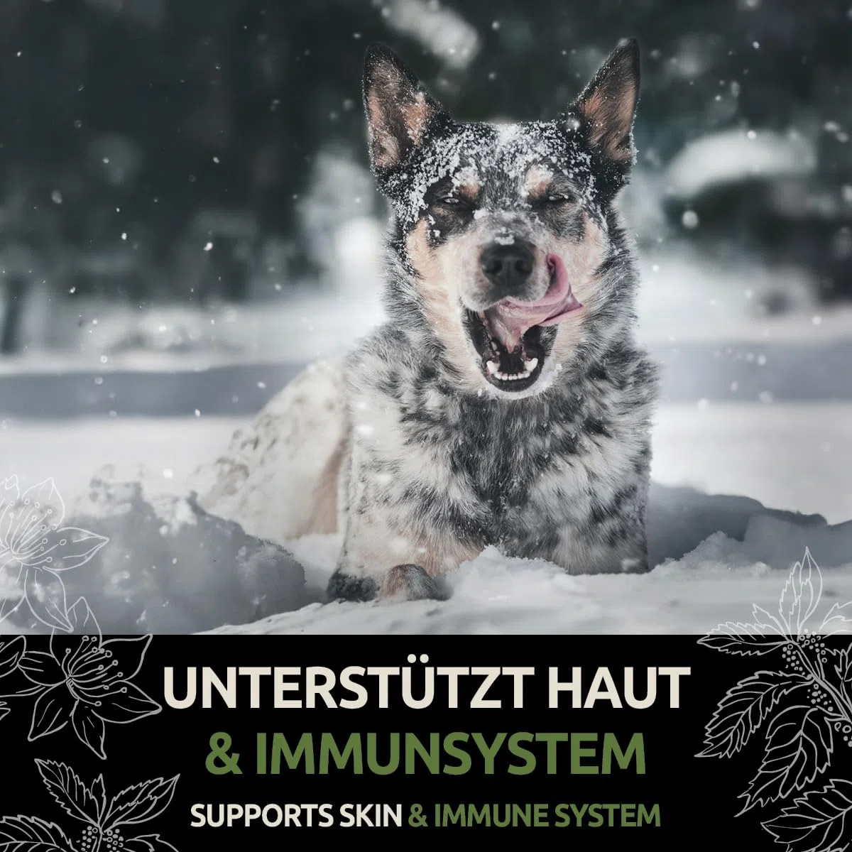 GreenPet Le Zinc pour Les Chiens 120 Tablets - Zinc Tablets Plus avec vitamines pour Peau sèche, Chien Qui démange, Perte de Poils, renforcement du système immunitaire, Changement de Pelage