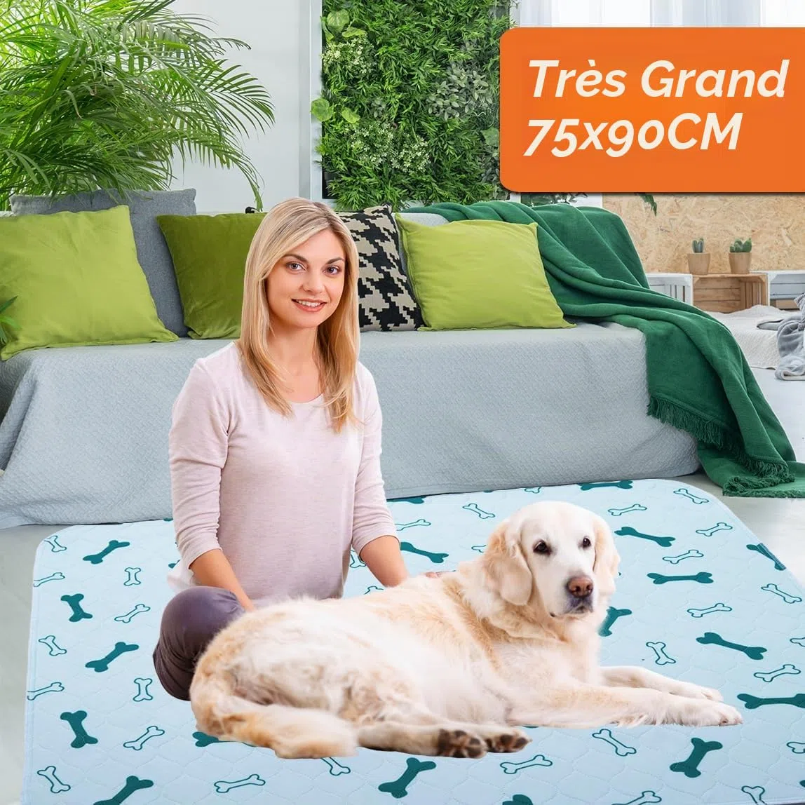 Tapis Absorbant Chien Réutilisable Tapis Chien Pipi Lavable Tapis de Propreté Chien Lot de 3 Tapis Educateur Chien Ultra Large 75*89CM