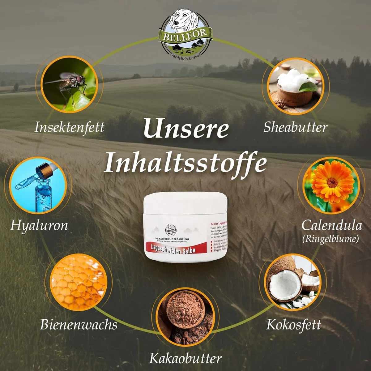 Bellfor Crème pour Les callosités chez Les Chiens - Crème pour Chien pour Peau sèche, callosités sur Les Coudes et Les Coussinets, avec Graisse d'insecte. Antibactérienne, Anti-inflammatoire - 30 ML