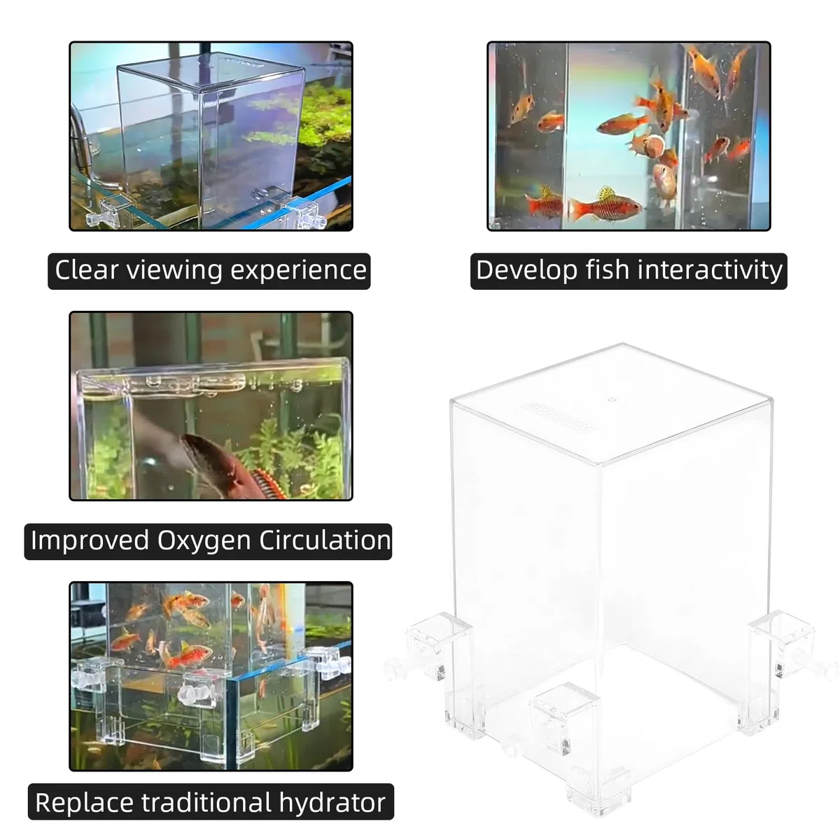 Tour de poisson en acrylique sous vide pour l'aménagement paysager écologique - Avec remplissage d'eau pour la maison, l'hôtel, le restaurant