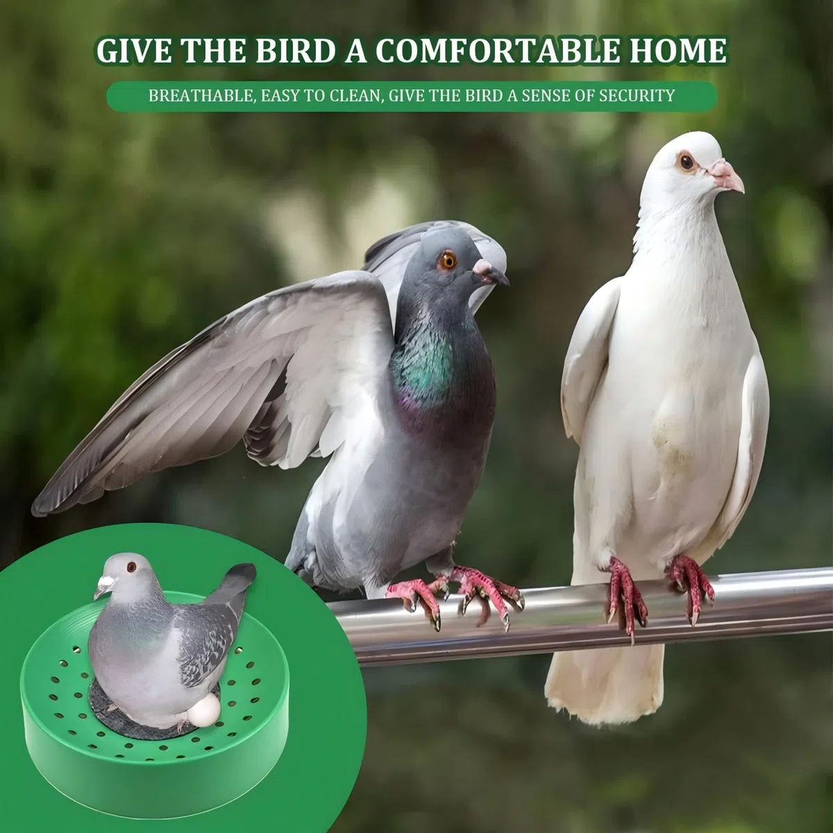 5 Pièces Nids d'oiseaux en Plastique Bol De Nidification d'oiseaux Bol D'élevage D'oeufs D'oiseau Respirant Nid D'élevage De Pigeons avec Tapis pour Colombes Cailles Et Petits Oiseaux