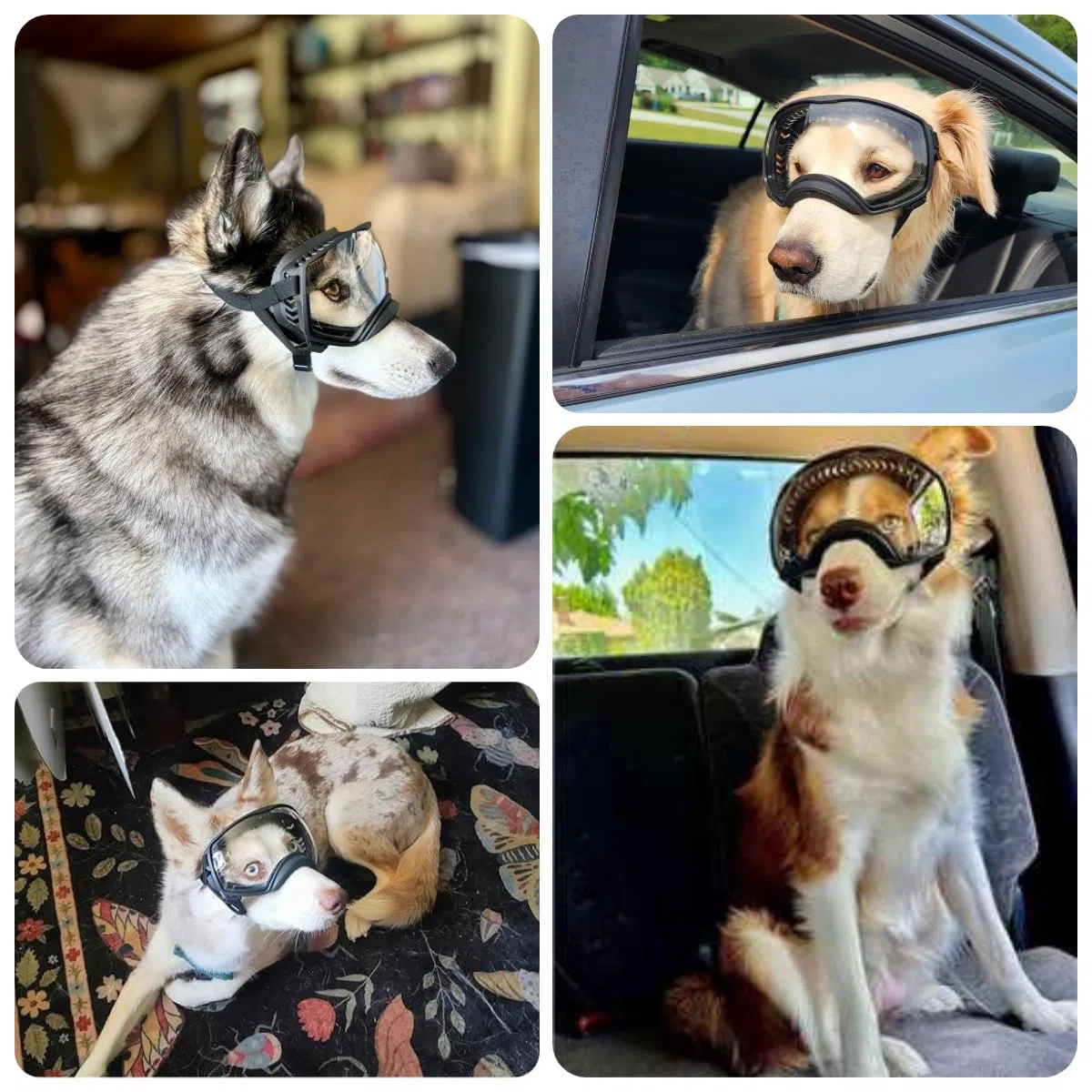 NAMSAN Lunettes de Soleil pour Chien avec Protection UV Bandeau Ajustable et Coussinets en Mousse Lunettes de Soleil pour Animaux de Compagnie Protégeant Les Yeux des Grands Chiens - Clair