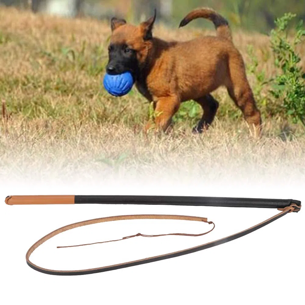 Fouet de Dressage en Cuir de Haute qualité pour Animaux de Compagnie, Prise Confortable, Poignée en Bois, Coups de Sonnerie, Jouets Interactifs pour Construire de Bonnes Relations avec les