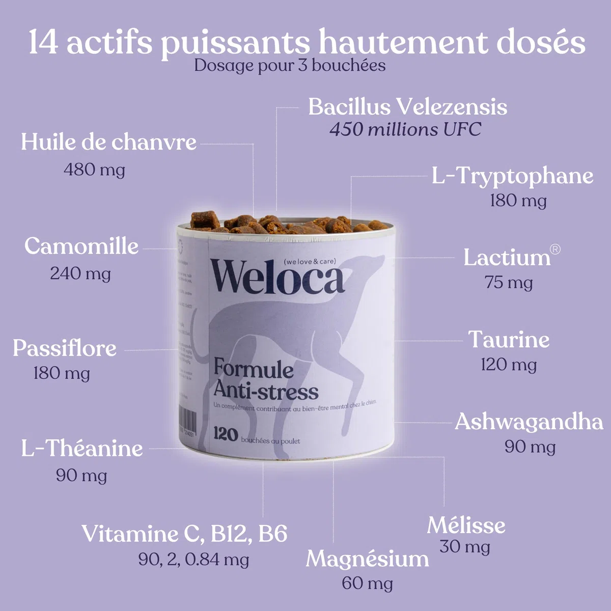 Anti-stress chien - 13 Actifs puissants naturels - Calmant pour chiens stressés, anxieux, réactifs, chiens hyperactifs - 120 compléments apaisants - Complément alimentaire chien - Nouvelle formule