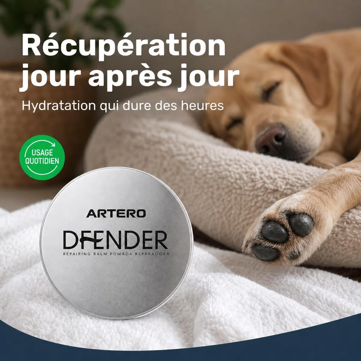 Artero Défendre la solution aux plantaires endommagés et aux nez fissurés chez les chiens