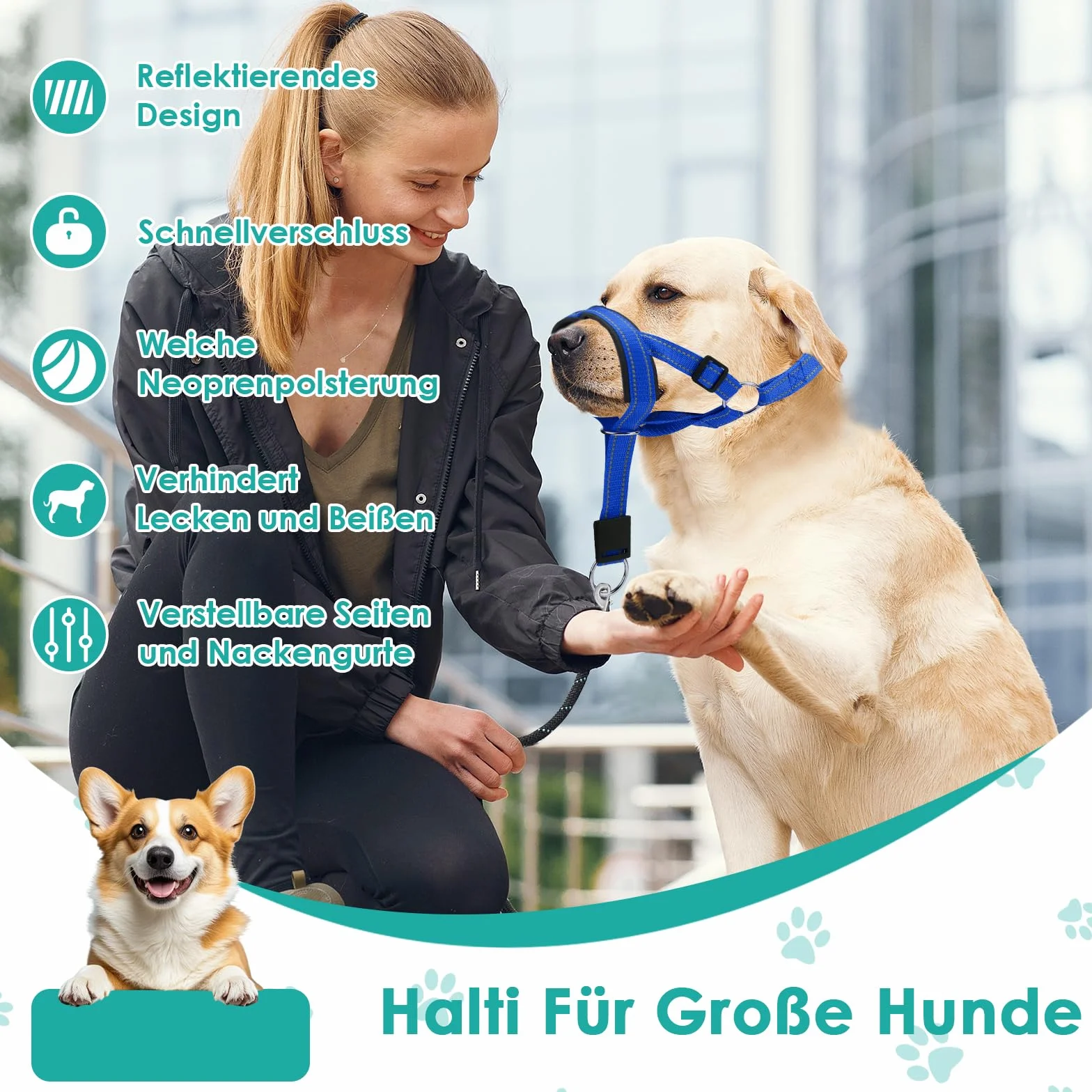 Halti pour chien grand, Harnais pour chien avec tissu rembourré, Harnais de tête Halti réglable anti-traction, Collier anti-traction doux pour chien grand (Bleu, L (Museau : 11,6-14,8 pouces))